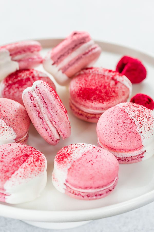 Chocolate Macaron 9