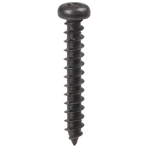 Stainless Steel Screws
