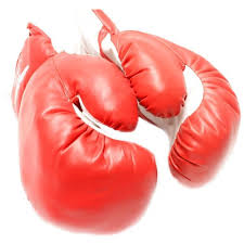 101 - Gloves