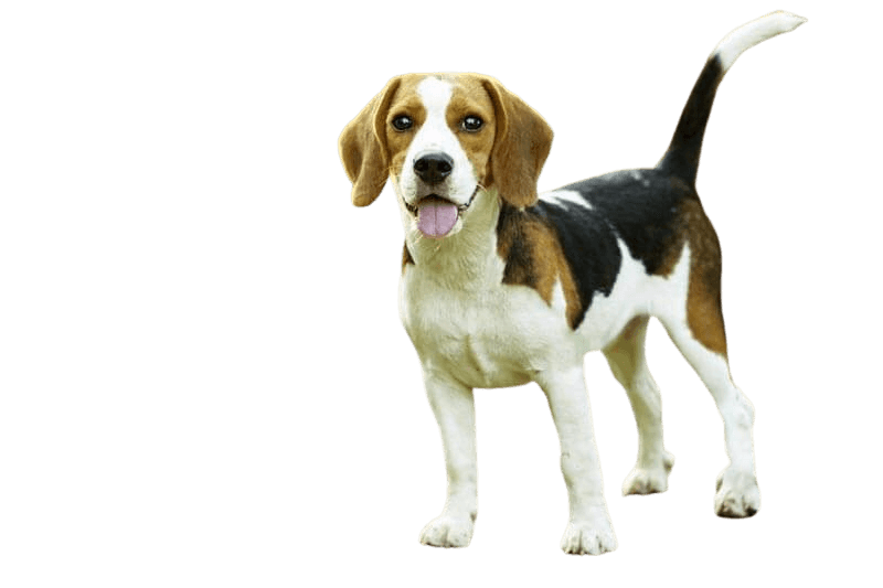 Test 0824 Name 050
